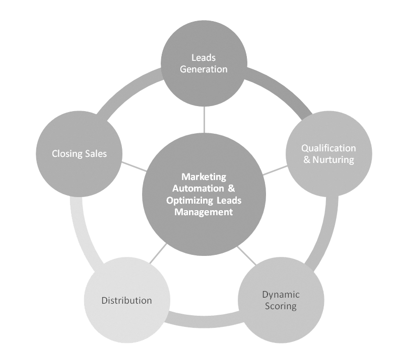 lead-management-definition